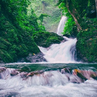 式公主官方下载